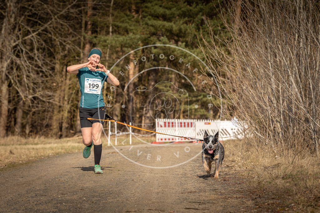 DV3A5934 | Hundefotografie, Tierfotograf, Pfotenfotografie, Fotoshooting Hund, Hunde Portrait, Hundesport, Hundeportraits, Heideshooting, Hunde, Sportfotograf, Hundefotograf, Turnierhundsport, THS,  - Realisiert mit Pictrs.com