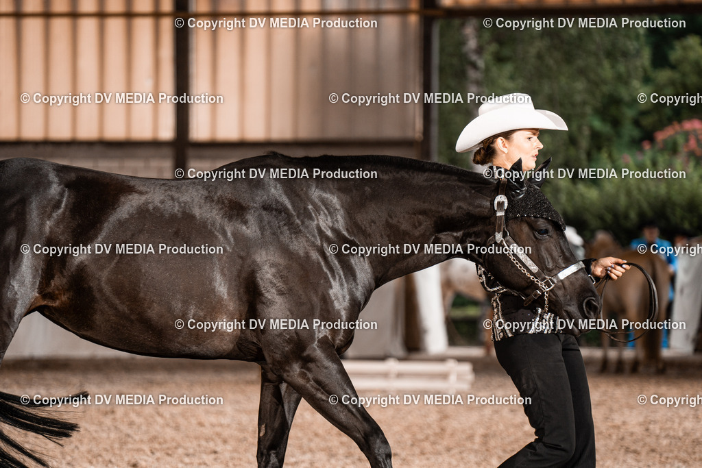 ZH200180 | dv-media-shop - Realisiert mit Pictrs.com