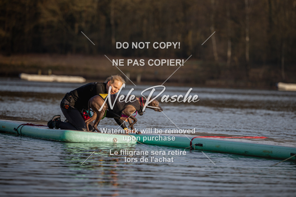 nelerasche_Hulsbeek_Sa1700-1730_190 | nelerasche