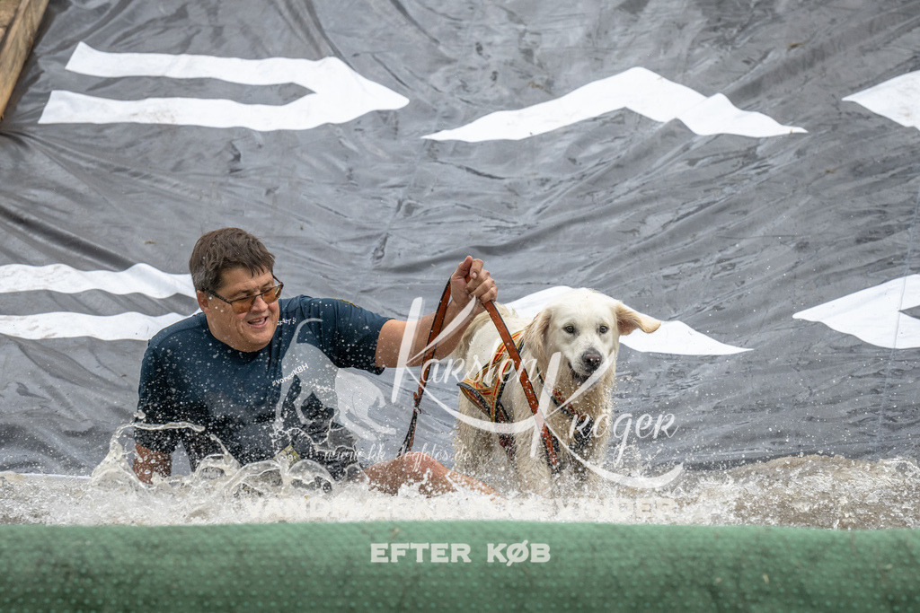 1402_ZZ94012 | kk-dogfotos