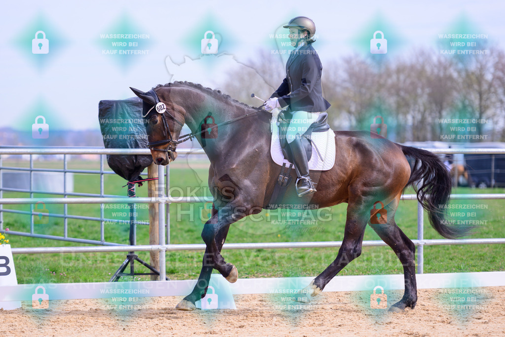 09042026-Mammendorf-Prfg01-0377 | Fokus Hufschlag Fotografie - Realisiert mit Pictrs.com