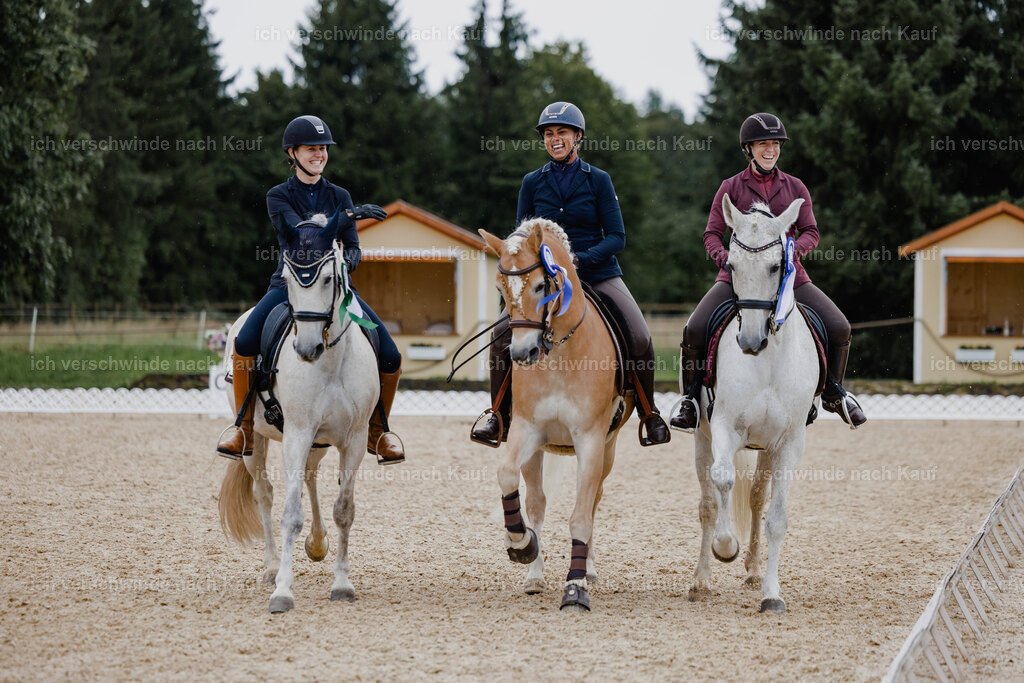 Svea13FHC2025-25391 | working equitationturnier fotograf videograf stoibphotography marixx film working equitation deutschland reitsport turnierfotografie eventfotografie equestrian events