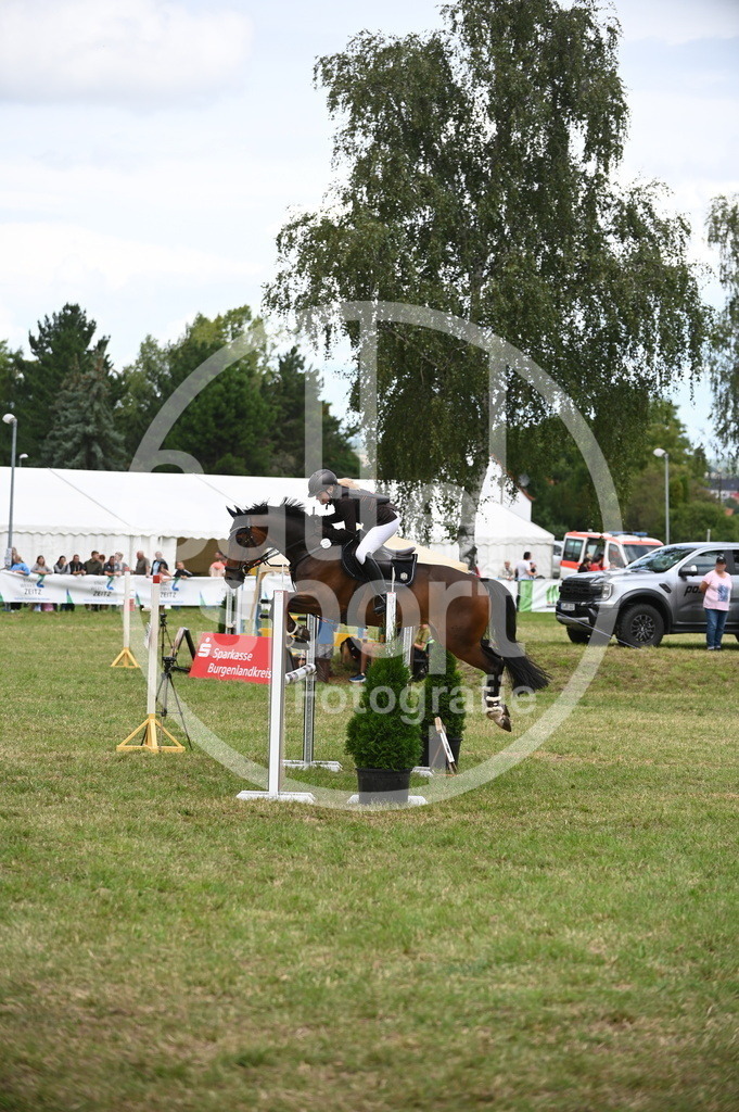 DSC_6417 | sattelsport - Realisiert mit Pictrs.com