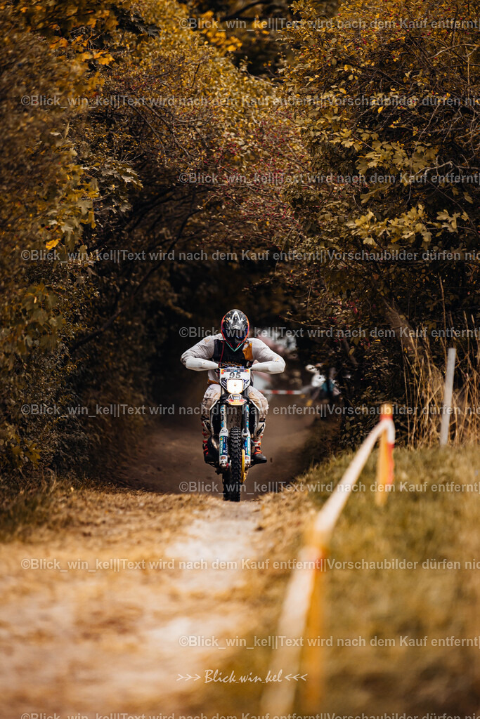 E68A8331 | blick_win_kel