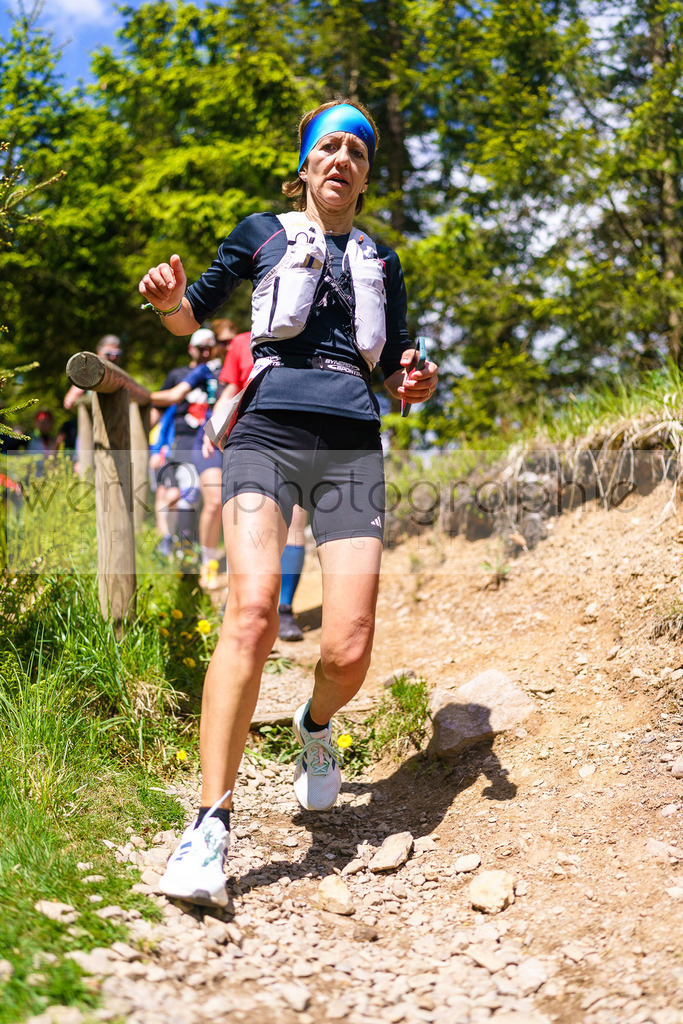 Rennsteiglauf Marathon 2025 | Marathon von Neuhaus/Rwg. nach Schmiedefeld/Rstg. am 17. Mai 2025