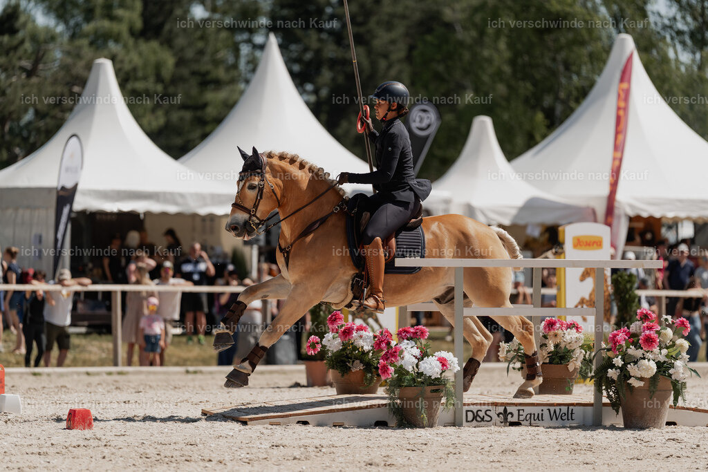 WE_SP_Stoib_308_PI2025_1625 | Pferd International München 2025