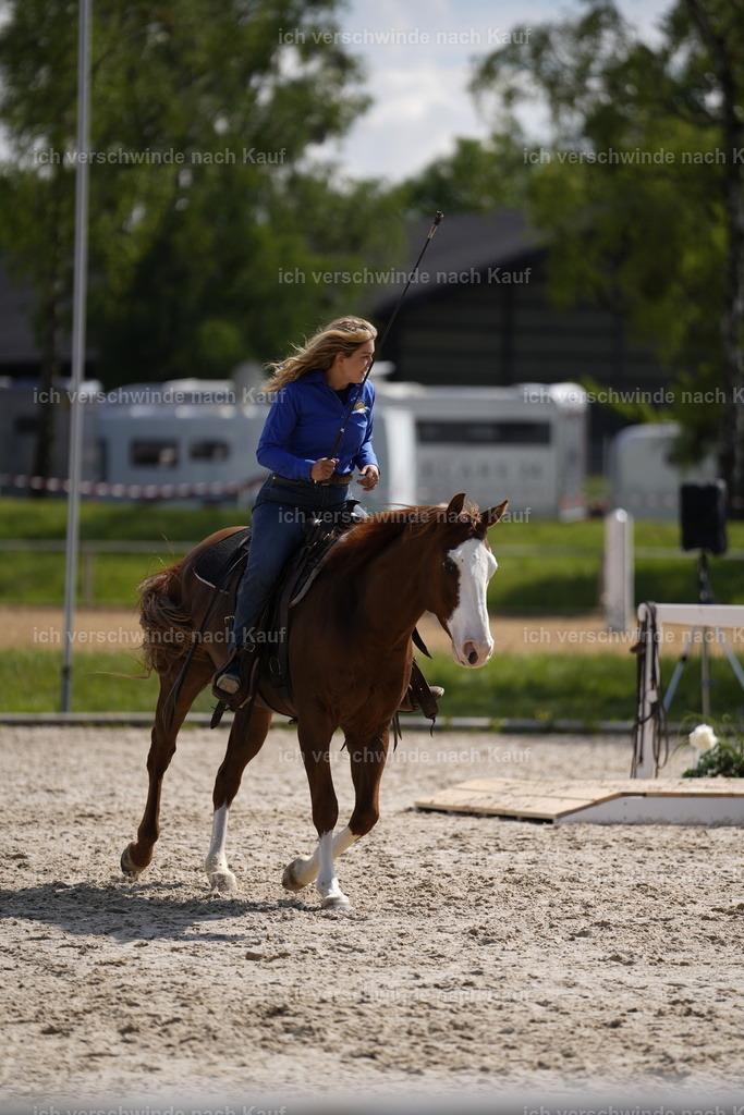 PI26_Show_Stoibphotography_A749332.JPG | working equitationturnier fotograf videograf stoibphotography marixx film working equitation deutschland reitsport turnierfotografie eventfotografie equestrian events