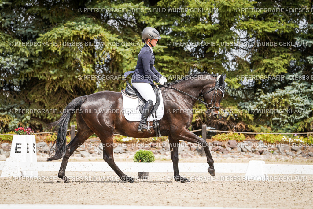 DSC03110 | Pferdegrafie