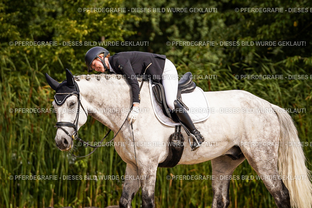 DSC01363 | Pferdegrafie