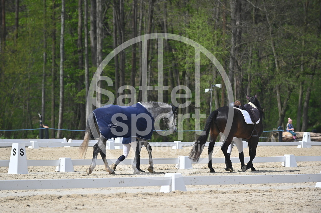 DSC_2414 | sattelsport - Realisiert mit Pictrs.com