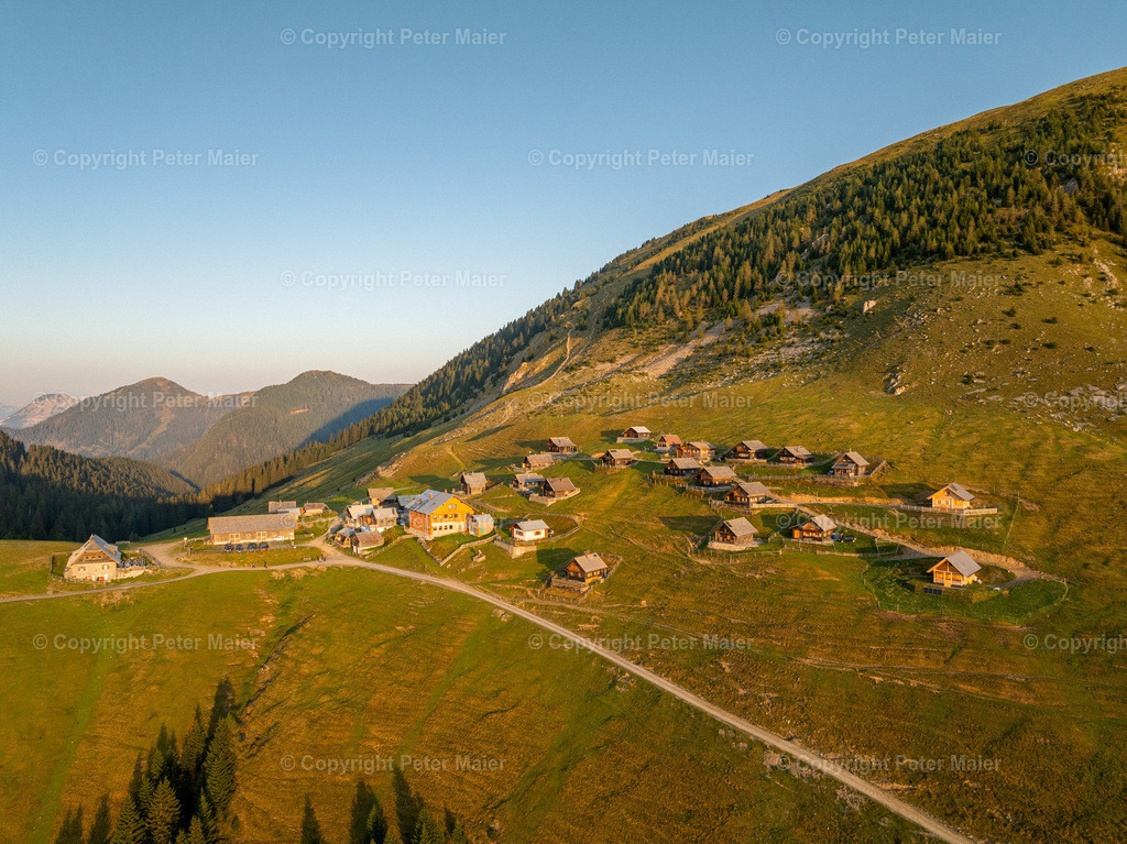 Feistritzer_Alm_2024-5 | default