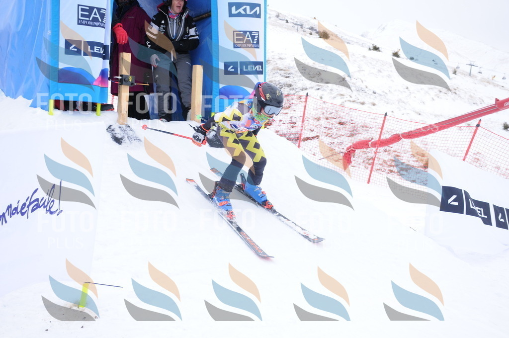 DSC_8772 | holidayphoto