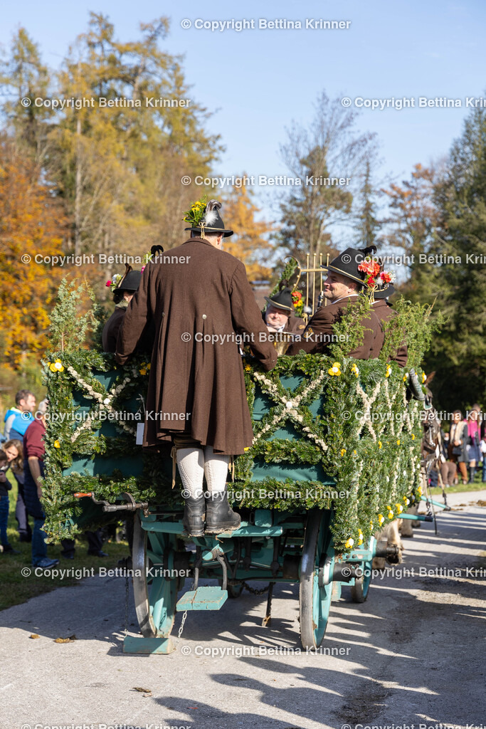 LBT24-1160 | foto-bettina-krinner - Realisiert mit Pictrs.com
