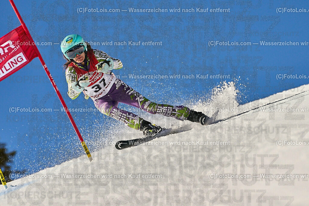 ALP4636_WCM-SuperGiant_Kat-C_Debello Carmen | (C)FotoLois.com, Alois Spandl, World Criterium Masters Ski Alpin 2023 Hochkar, SuperGiantSlalom, Kategorie C, Mi 22. März 2023.
