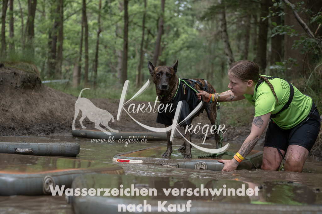 1339_ZZ95247 | kk-dogfotos
