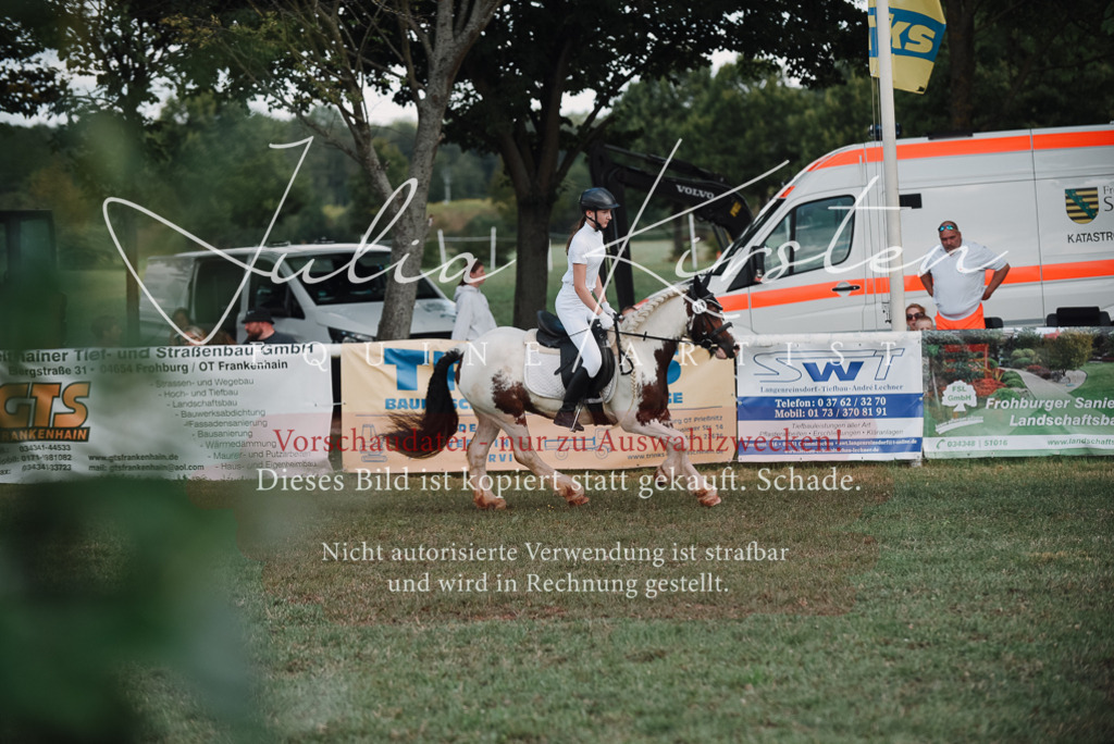 DSC_5602 | Pferde- und Turnierfotografie in Westsachsen. Pferdeportraits, Auftragszeichnungen und intuitive Kunst.