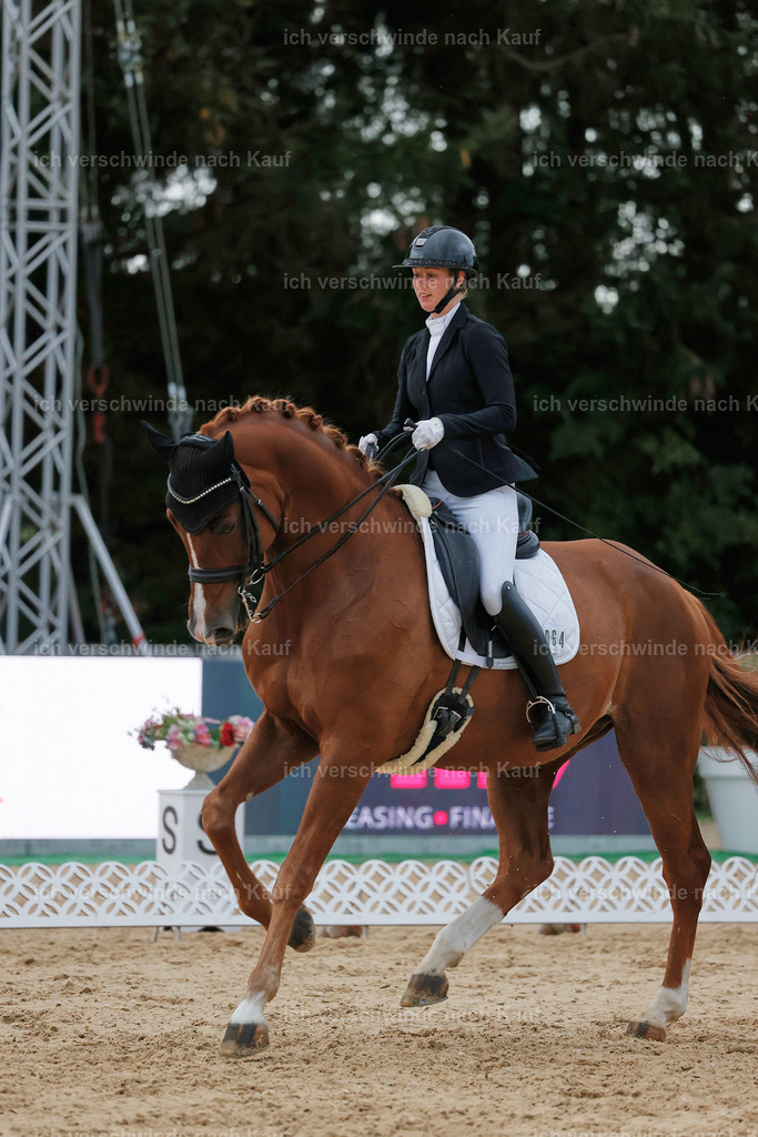 04_2-064-Dressur M__ -StoibPH-2994 | working equitationturnier fotograf videograf stoibphotography marixx film working equitation deutschland reitsport turnierfotografie eventfotografie equestrian events