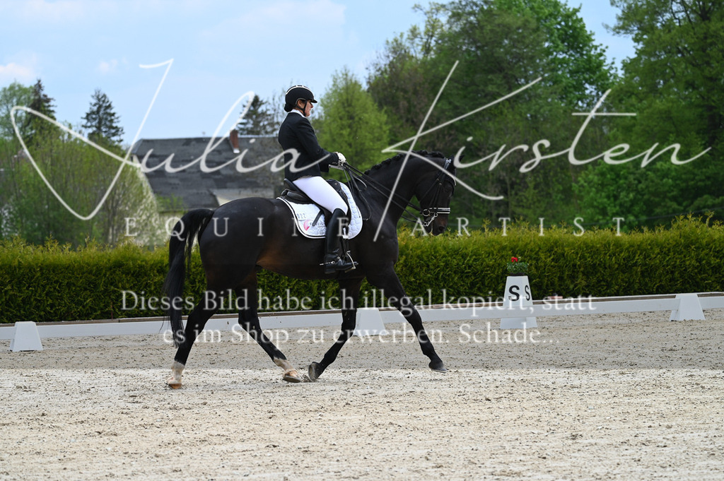 20230512_JK-Röhrsdorf-05-101 | Pferde- und Turnierfotografie in Westsachsen. Pferdeportraits, Auftragszeichnungen und intuitive Kunst.