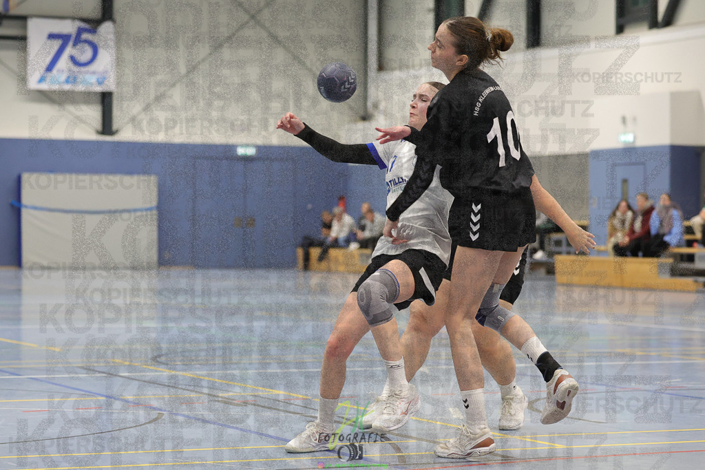Frauen 2. Bezirksklasse, SG Rechtenbach - HSG Kleenheim/Langgöns III | Frauen 2. Bezirksklasse, SG Rechtenbach - HSG Kleenheim/Langgöns III am 16.11.2024 in Rechtenbach (Sporthalle Rechtenbach)Photo © 2024 - Jörg Heinrich - Realisiert mit Pictrs.com