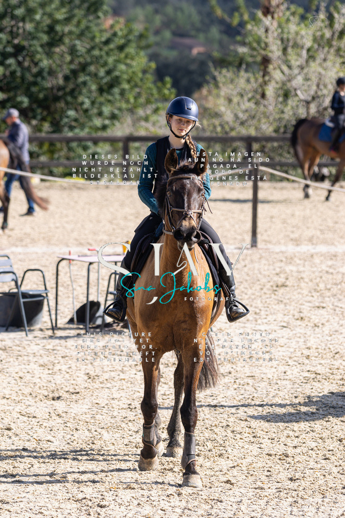 IMG_5497 | s-jay-photography - Realisiert mit Pictrs.com