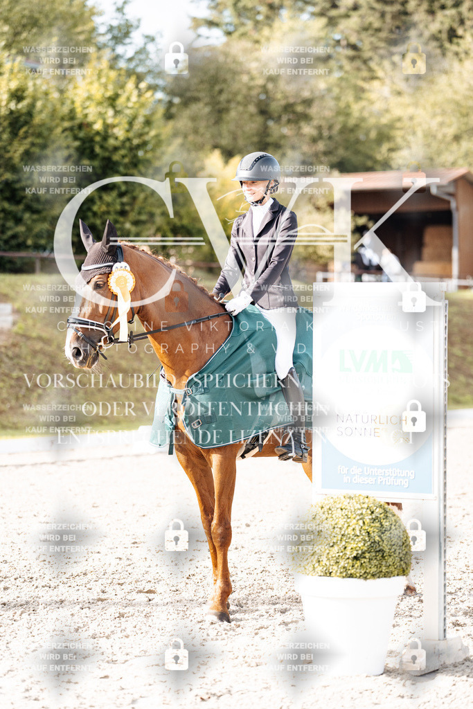 CK901406 | Turnierfotografie Pferdefotografie Trier Rheinland-Pfalz Pferdesport Reitsport Tierfotografie Sportfotografie Pferdevideo Pferdevideografie Equestrianvideography equestrianphotography  - Realisiert mit Pictrs.com