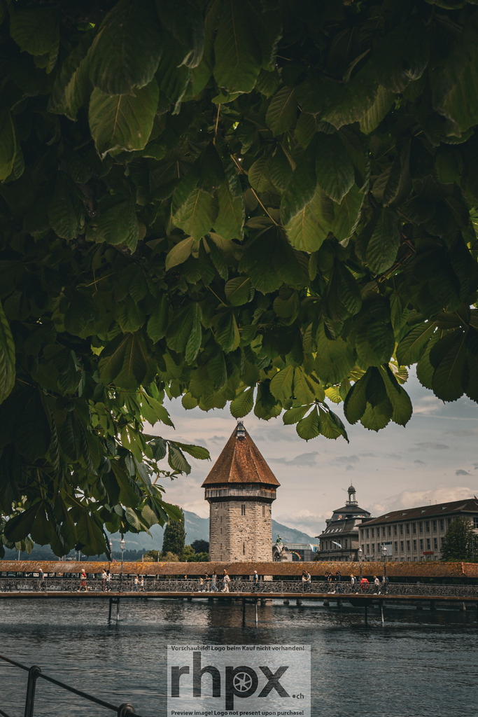 Kapellbrücke durch das Blätterdach / Chapel Bridge through the Canopy | <p><strong>Natur. Rahmen. Wahrzeichen.</strong></p><p>Ein einzigartiger Blick auf das Luzerner Wahrzeichen, sanft umrahmt von einem dichten Blätterdach des Kastanienbaums. Die Verbindung aus lebendigem Grün und historischer Architektur verleiht der berühmten Holzbrücke eine besonders intime und idyllische Atmosphäre.</p><p>Wähle unter "Produktauswahl" dein Wunschformat: Vom klassischen Wandbild über Puzzle & Tassen bis zum digitalen Download (z.B. als Handy-Hintergrund).</p><br><p><strong>Nature. Frame. Landmark.</strong></p><p>A unique perspective of Lucerne's landmark, gently framed by a dense canopy of chestnut leaves. The blend of vibrant greenery and historic architecture lends the famous wooden bridge a particularly intimate and idyllic atmosphere.</p><p>Choose your preferred format under "Product Selection": From classic Wall Art to Puzzles & Mugs, or a digital Download (e.g. for mobile wallpapers).</p> - Realisiert mit Pictrs.com