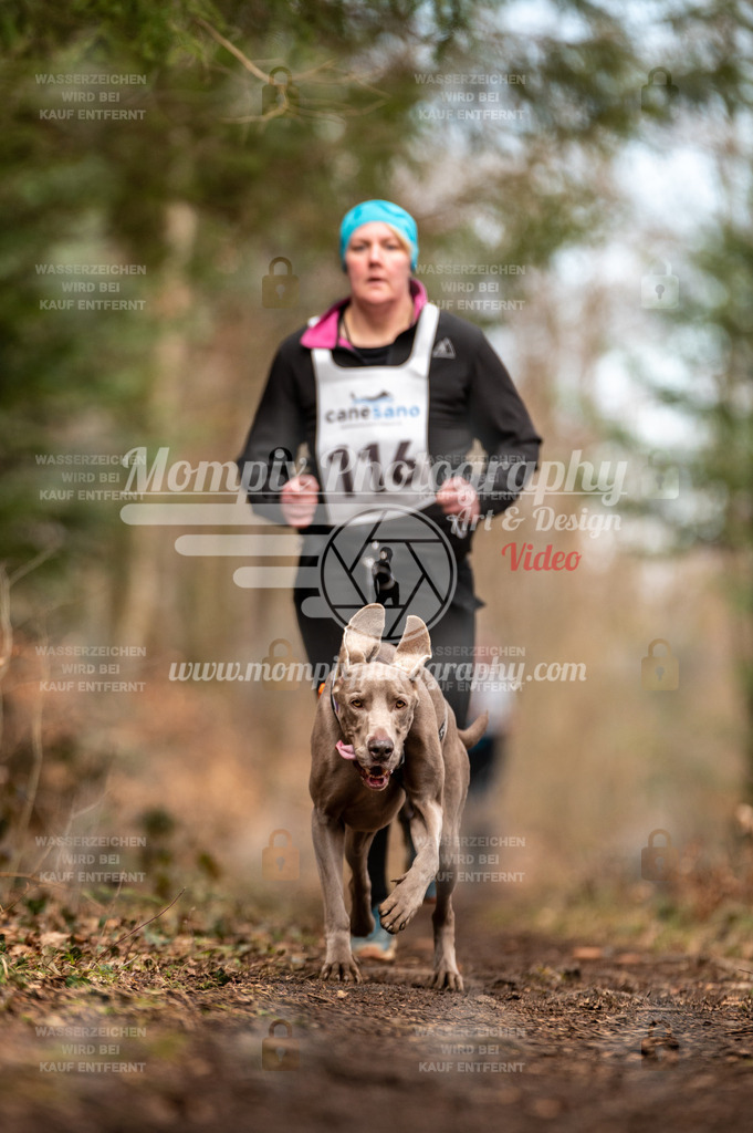 Reiat2023_SAM_CaniXRun_5km_W-52 | PayLife
