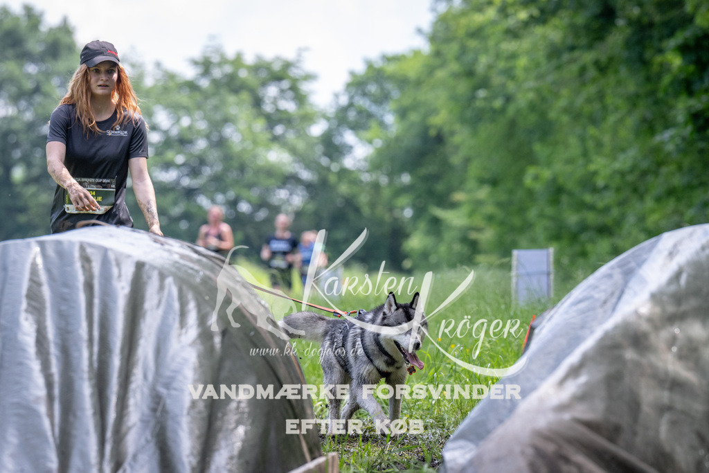 1137_ZZ93365 | kk-dogfotos