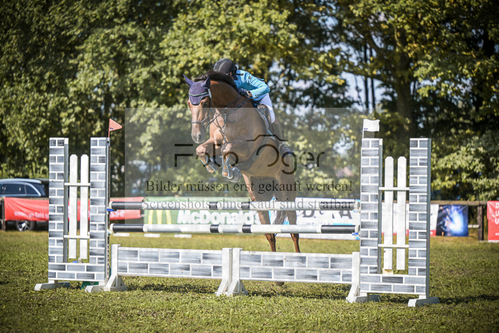 DOS_0310 | Entdecke hochwertige Reitturnierfotos von Foto Oger. Professionell, emotional und authentisch – jetzt Lieblingsmomente im Shop bestellen.Deutschlandweite Turnierfotografie. - Realisiert mit Pictrs.com