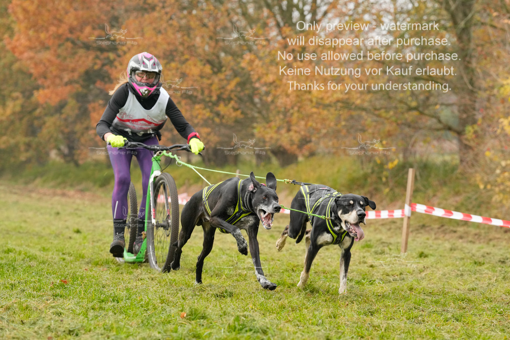 Visbeck_Sa_DS2DR2-57 | stephaniefillaphotographie - Realisiert mit Pictrs.com