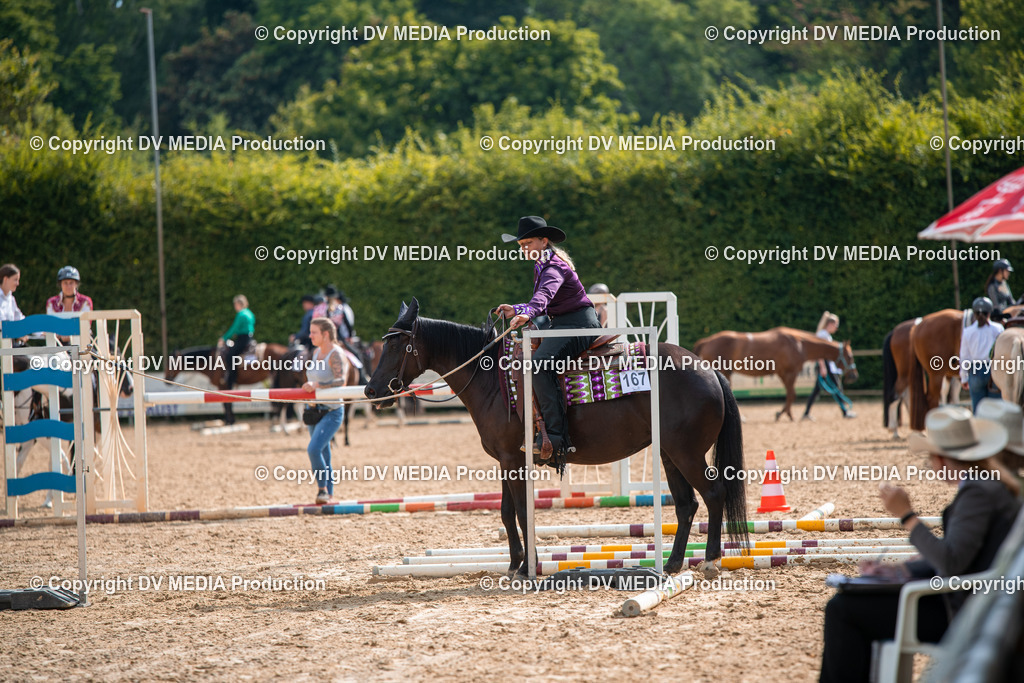 ZS2_7619 | dv-media-shop - Realisiert mit Pictrs.com