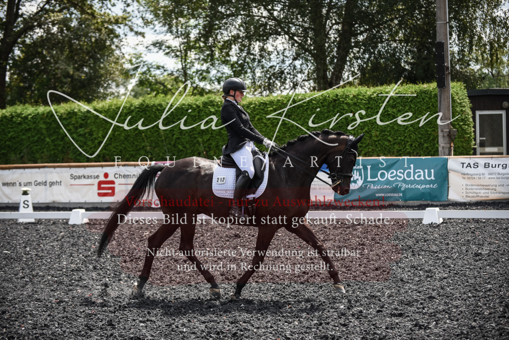 DSC_4785 | Pferde- und Turnierfotografie in Westsachsen. Pferdeportraits, Auftragszeichnungen und intuitive Kunst.
