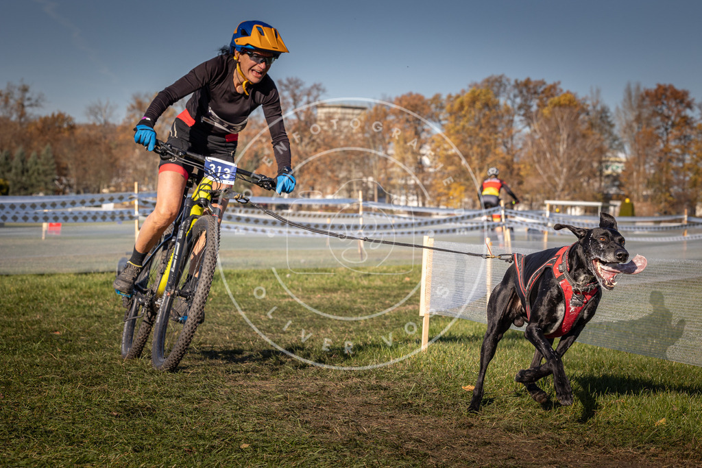 CaniXpix_0L8A5628 | Hundefotografie, Tierfotograf, Pfotenfotografie, Fotoshooting Hund, Hunde Portrait, Hundesport, Hundeportraits, Heideshooting, Hunde, Sportfotograf, Hundefotograf, Turnierhundsport, THS,  - Realisiert mit Pictrs.com