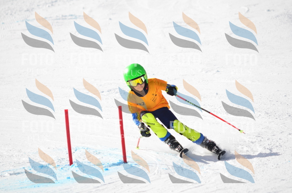 C7999 | holidayphoto