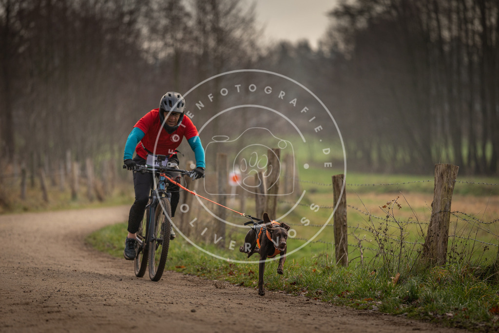 Pfotenfotografie_DV3A1869 | Hundefotografie, Tierfotograf, Pfotenfotografie, Fotoshooting Hund, Hunde Portrait, Hundesport, Hundeportraits, Heideshooting, Hunde, Sportfotograf, Hundefotograf, Turnierhundsport, THS,  - Realisiert mit Pictrs.com