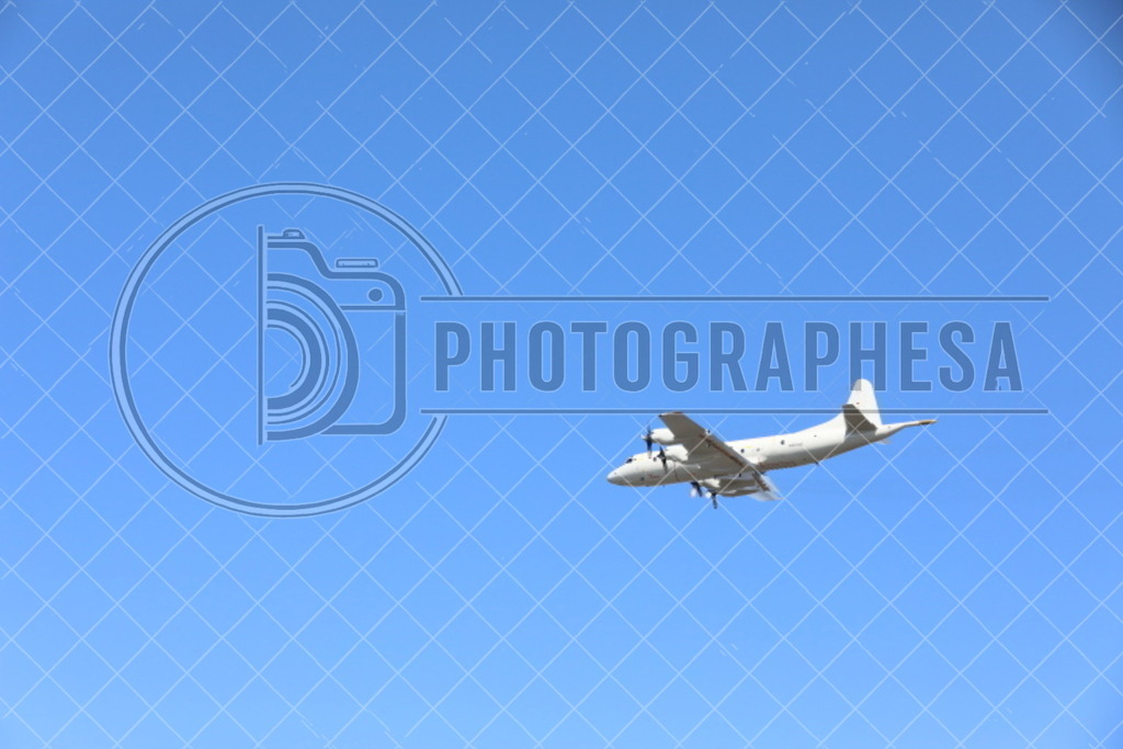 IMG_8798 | photographesa-joergens - Realisiert mit Pictrs.com