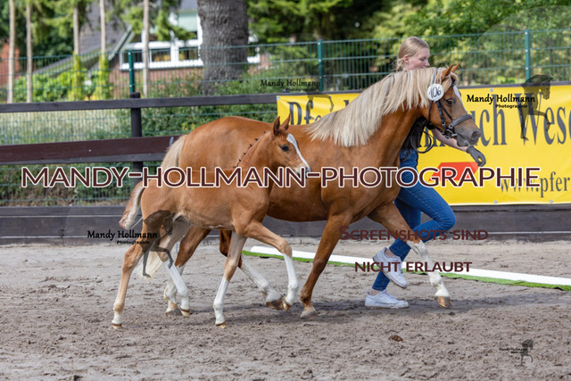 _MG_7174 | mandyhollmannphotographie