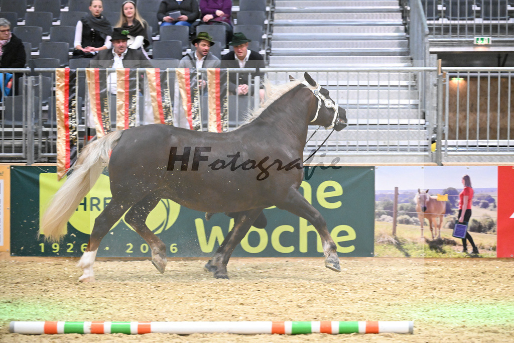 Kat-Nr. 13 Miss Tegernsee v. Samurei_Bachmair_1260221 | hf-fotografie - Realisiert mit Pictrs.com