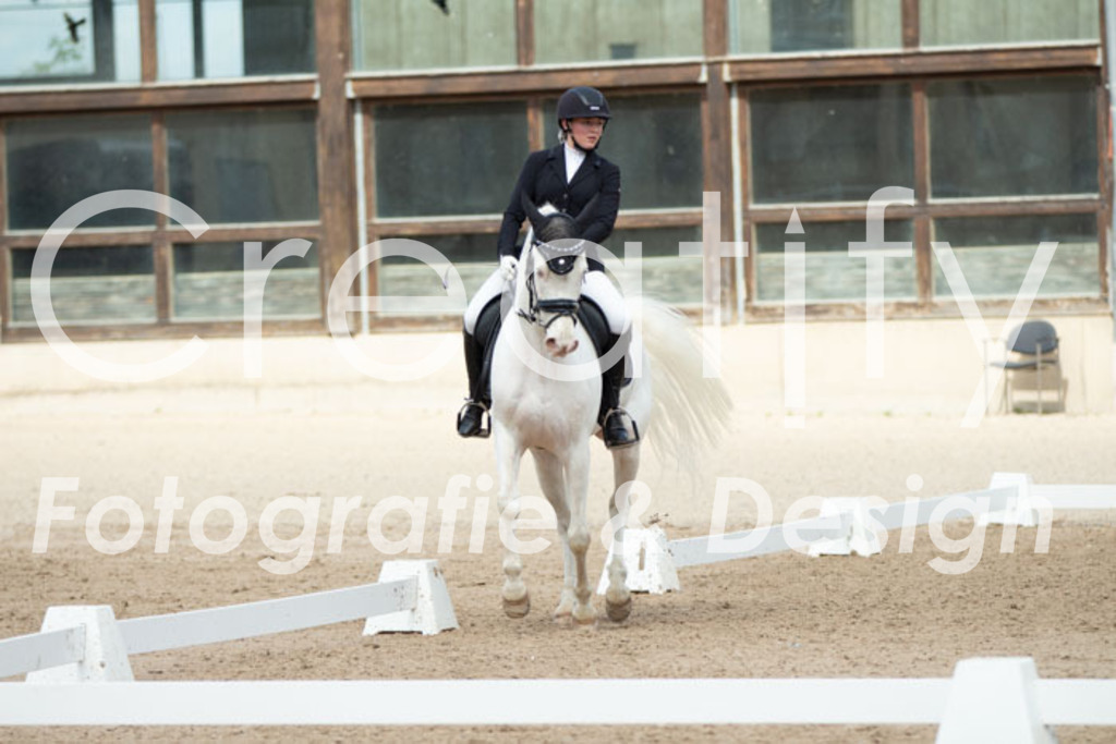 IMG_4583 | Creatify Fotografie