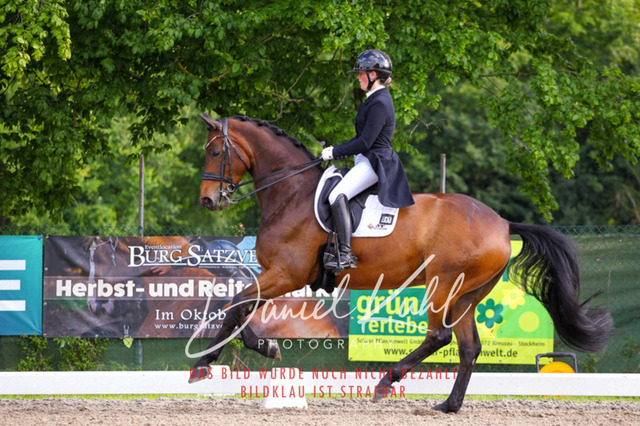 DKP41712 | Turnierfotos kaufen im Webshop von Daniel Kuhl Photography – entdecke professionelle Reitsportfotos aus Turnieren & Events. Hochwertige Turnierbilder online bestellen & sichern. Jetzt Fotos von Reitsportturnieren kaufen!