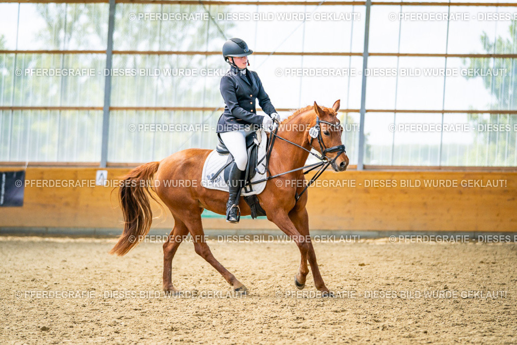 DSC05043 | Pferdegrafie