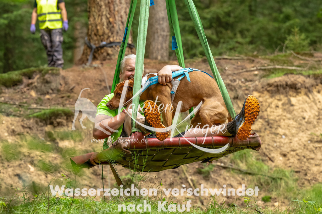 1330_ZZ93073-Bearbeitet | kk-dogfotos