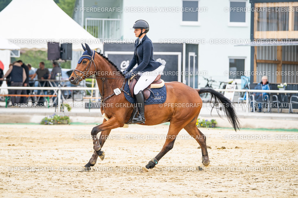 DSC09964 | Pferdegrafie