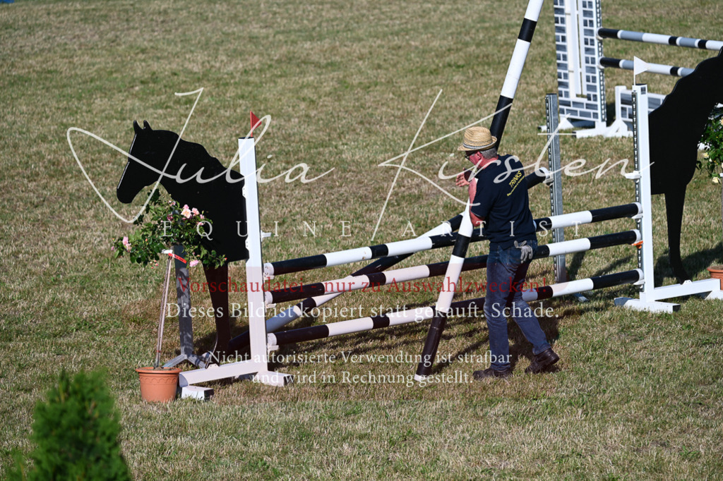 DSC_2637 | Pferde- und Turnierfotografie in Westsachsen. Pferdeportraits, Auftragszeichnungen und intuitive Kunst.