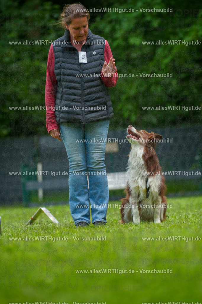 @allesWIRTHgut_Tierfotografie - www.allesWIRTHgut.de - 7R501444 | Professionelle Tierfotografie in Mönchengladbach von Daniel Wirth (allesWIRTHgut). Liebevolle & natürliche Bilder von Hunden & Katzen für unvergessliche Erinnerungen.