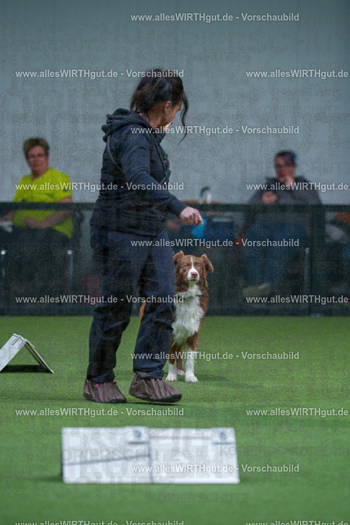 7R501697 | Professionelle Tierfotografie in Mönchengladbach von Daniel Wirth (allesWIRTHgut). Liebevolle & natürliche Bilder von Hunden & Katzen für unvergessliche Erinnerungen.