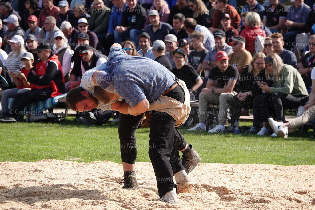 DSC01993 | Schwingen - Realisiert mit Pictrs.com