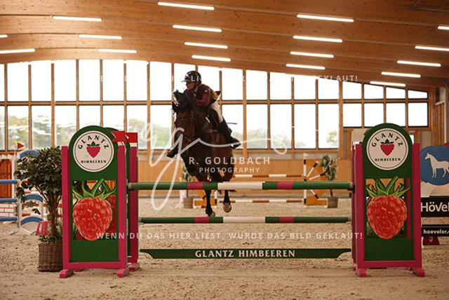 1J2A9750Juliane Weihs_ Hell Boy van de Zuuthoeve Z_ Kn278_ Glantz_ Hohen Wieschendorf | Foto- und Videografie für alles rund ums Pferd. Hochwertige Bilder und Videos vom Spring- und Dressurreiten, Voltigieren & mehr. Jetzt aktuelle Veranstaltungen und Preise im Shop ansehen. - Realisiert mit Pictrs.com