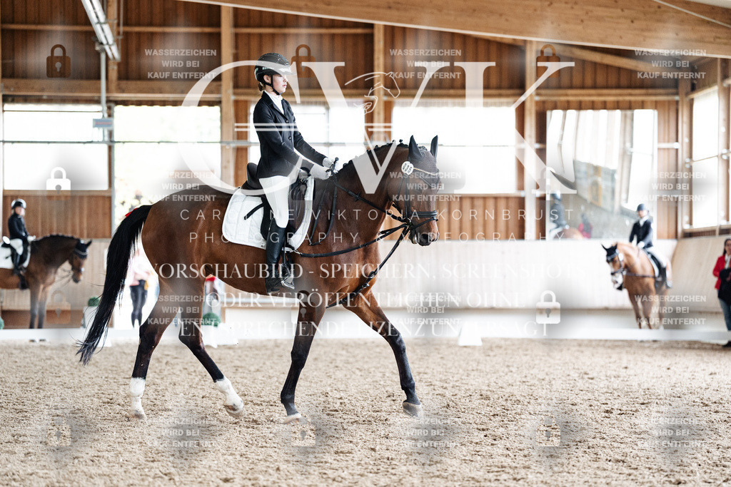 CK900707 | Turnierfotografie Pferdefotografie Trier Rheinland-Pfalz Pferdesport Reitsport Tierfotografie Sportfotografie Pferdevideo Pferdevideografie Equestrianvideography equestrianphotography  - Realisiert mit Pictrs.com