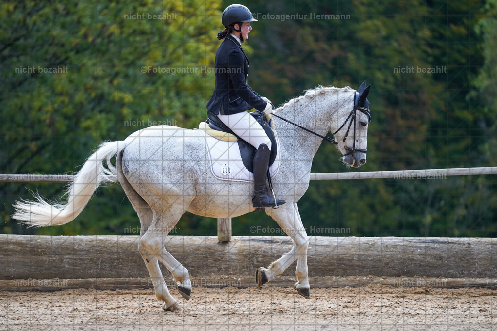 20221008-FAH00727 | Diessen am Ammersee, 2022, Dressur- und Springturnier, Reitsportbilder, Turnierfotografen Bayern, Pferdefotografen, Fotoagentur Herrmann, Turnierbilder